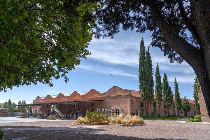 Visite guidée privée d'une journée complète de Vinicolas de Mendoza