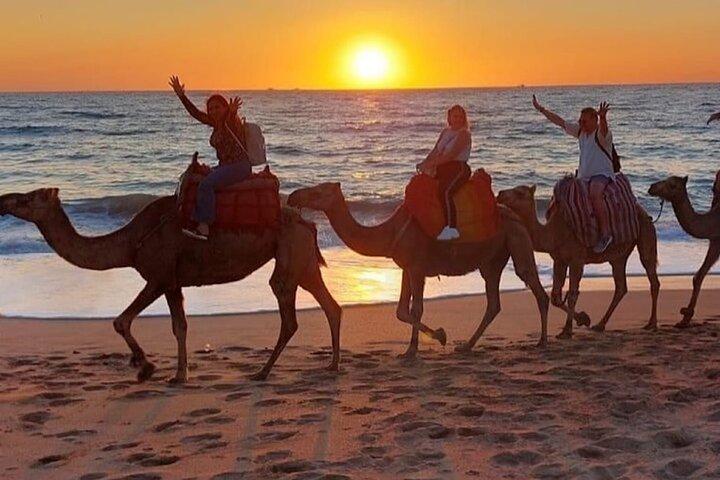 Camel Ride - Tangier & Asilah
