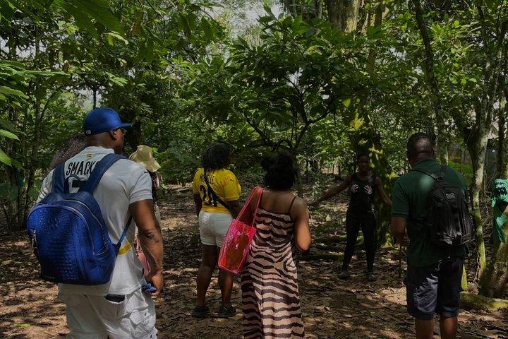 Atv and Waterfall Adventure with Lunch through Aburi