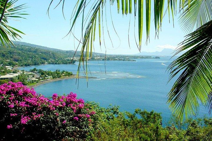 Private Island Tour ( 5 HOURS)