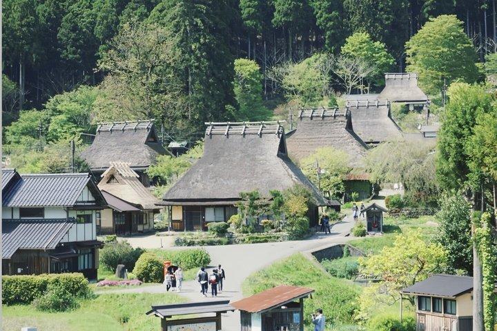 Kyoto Seaside Day Tour