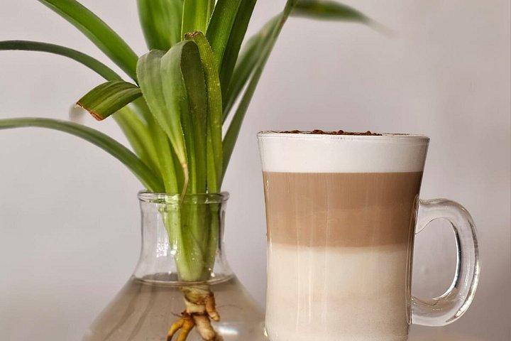 本格ビーチフロントメキシコ料理教室カフェジャガーコスタマヤ