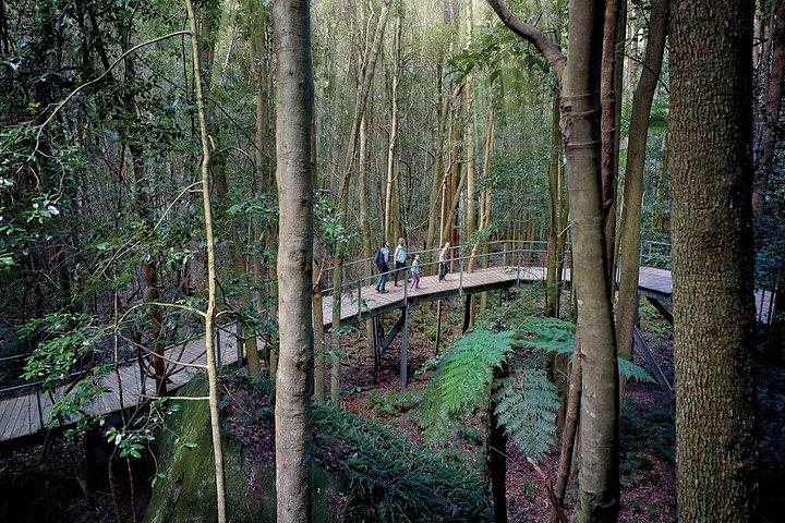 Blue Mountains Dampfzug + 3 Schwestern + Scenic World + SYD Fähre