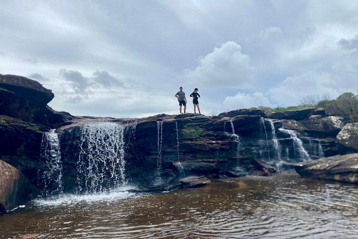Sydney: Royal National Park Small Group Hike, Swim, Picnic