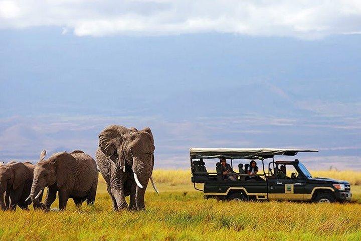 5-Daagse Roaring Maasai mara - Lake Nakuru - Lake Naivasha safari