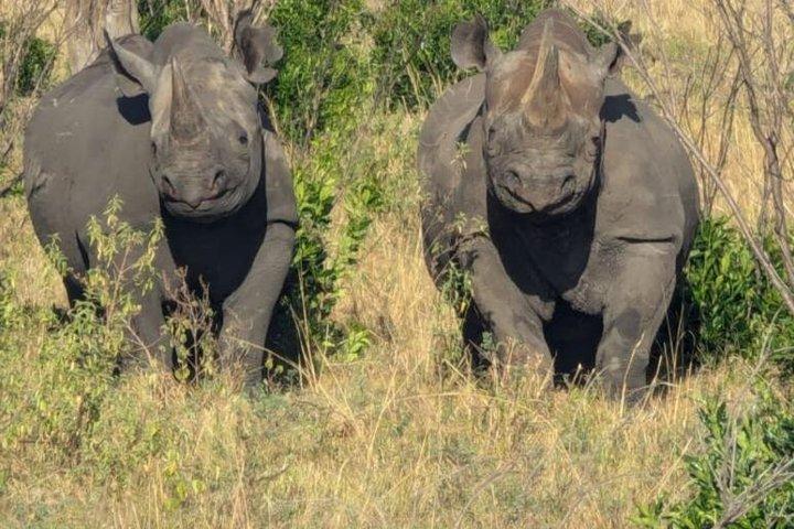 Safari privé à Amboseli de 3 jours