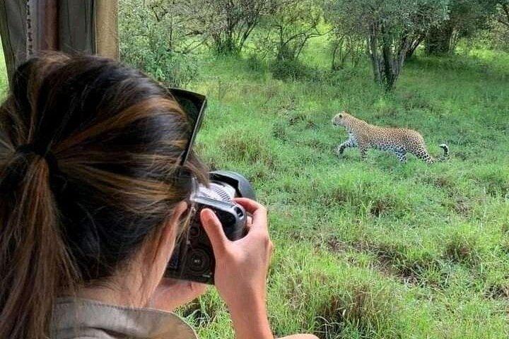 2 Tage Maasai Mara bei Safari