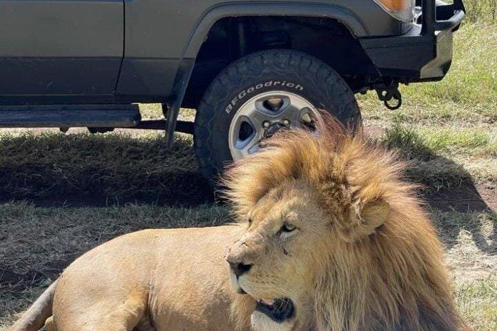 6 días maasai mara - Lago Nakuru - Amboseli impresionante safari