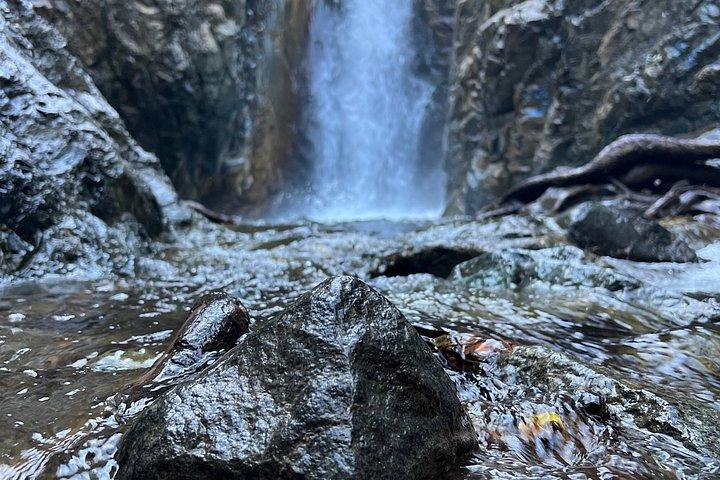 A Day in the Troodos Mountains – Nature, Wine & Tradition