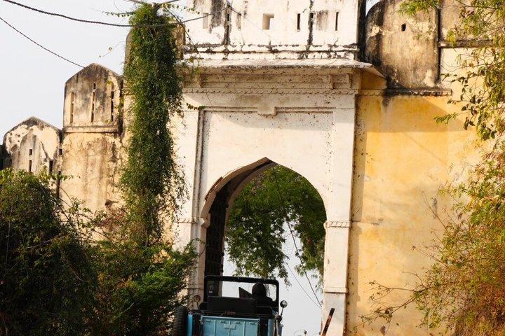 Udaipur: Privat Vintage Willys Jeep oplevelse