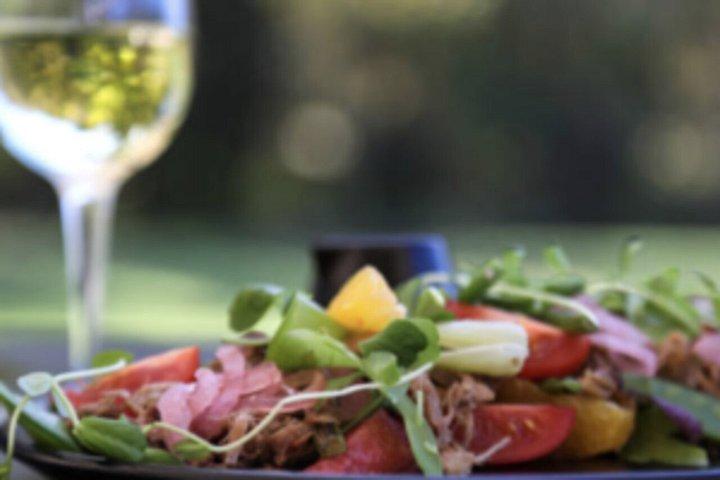 E-Bike Stellenbosch and Wine Tasting