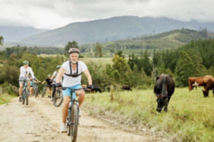 E-Bike Stellenbosch and Wine Tasting