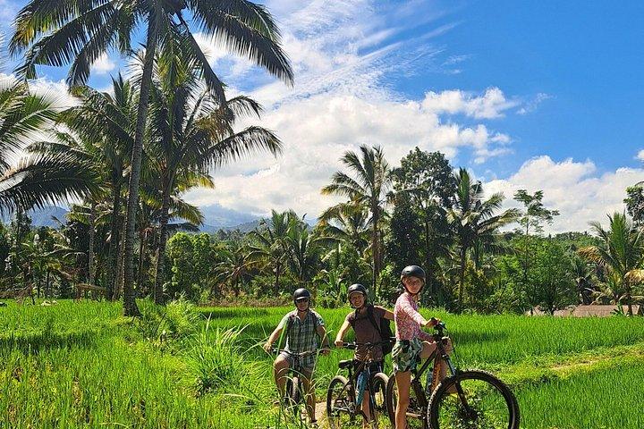 Tetebatu Private Trek Rice Fields Waterfall and Monkey Forest