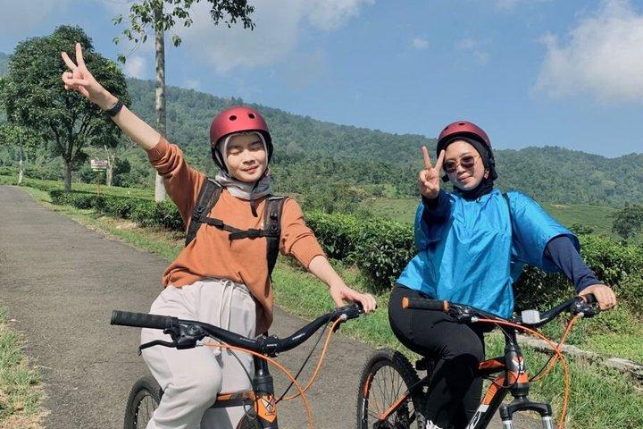 Salalah Nature Ride de Green Coconut Groves para o Ocean Breeze