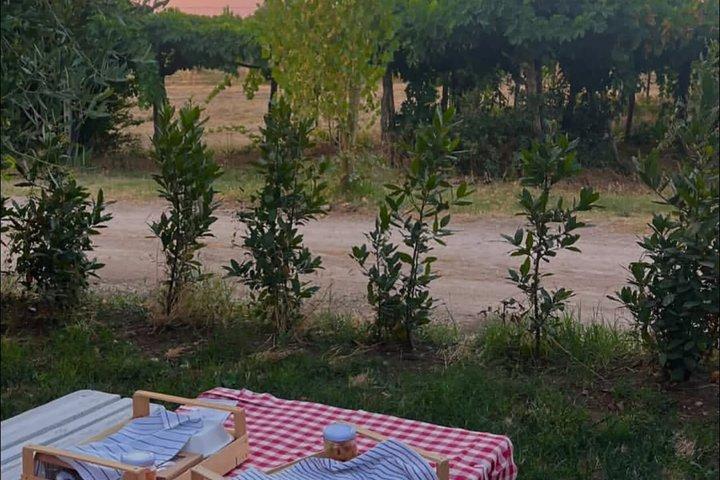 Picnic a la luz de la luna en la Costa dei Trabocchi