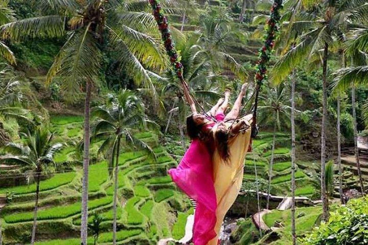 Bali : ウブドツアーハイライト