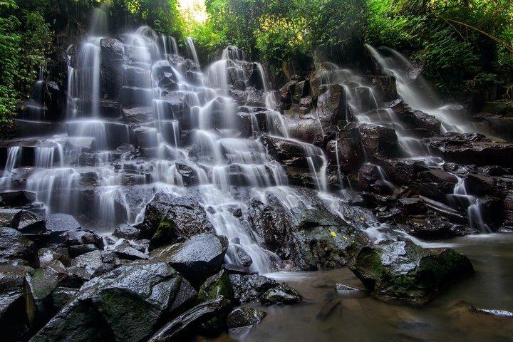 Bali : ウブドツアーハイライト