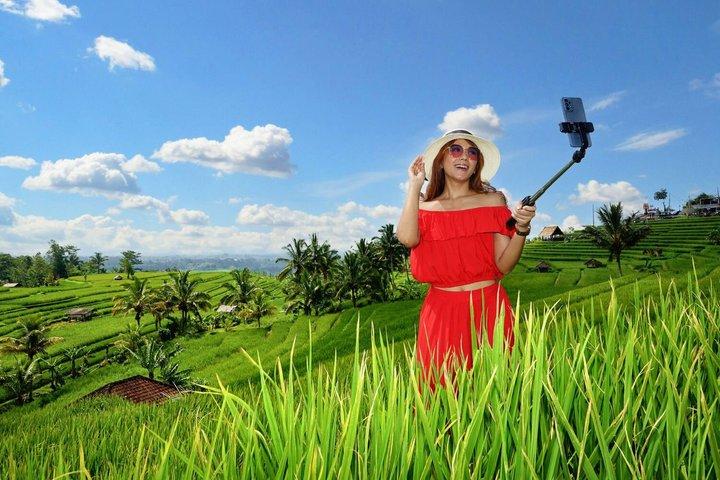 Tour del tempio di Jatiluwih e Ulun Danu con trasferimento a Bali