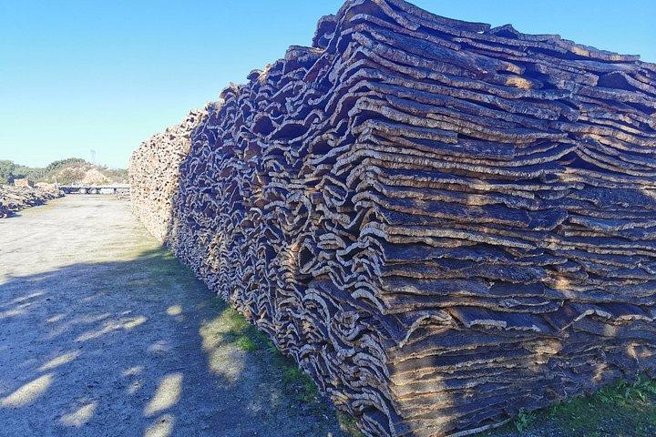 Évora Cork & Castle: From Cork Oak to Evoramonte — Private Tour