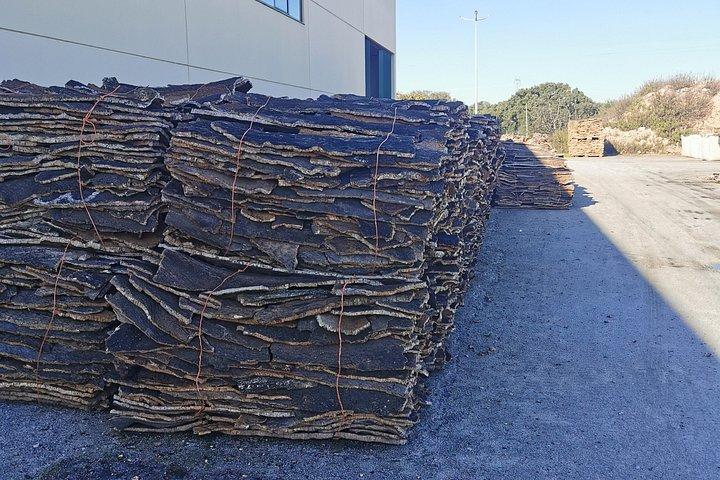 Évora Cork & Castle: From Cork Oak to Evoramonte — Private Tour