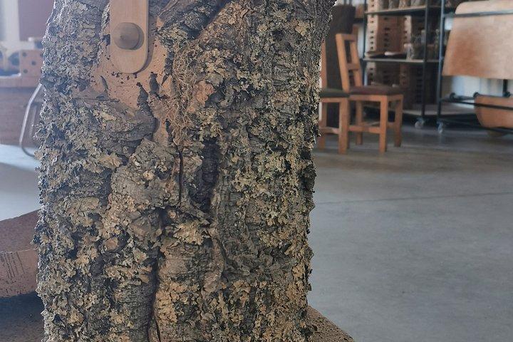 Évora Cork & Castle: From Cork Oak to Evoramonte — Private Tour