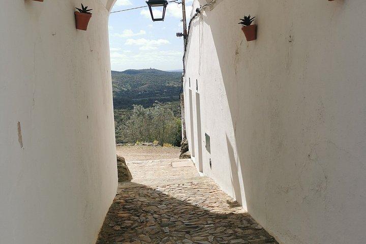 Évora Cork & Castle: From Cork Oak to Evoramonte — Private Tour