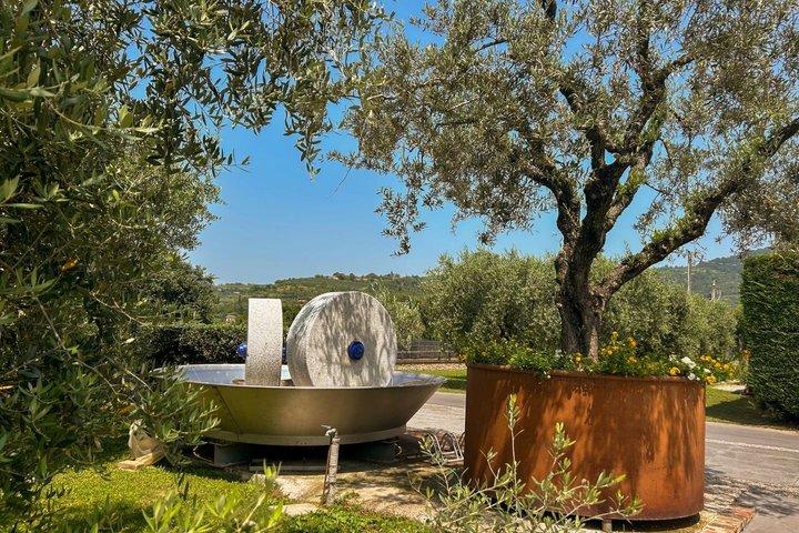 Da Abano e Montegrotto: Tour Olio e Vino dei Colli Euganei