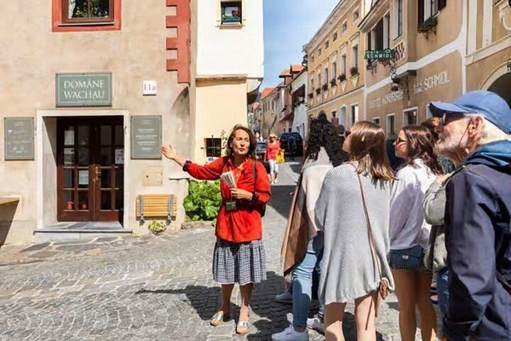 ウィーン発ドナウ渓谷とメルク修道院ガイド付き日帰り旅行