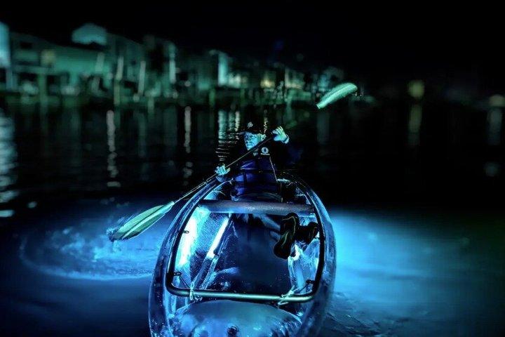 LED Night Kayaking på Clearwater Beach