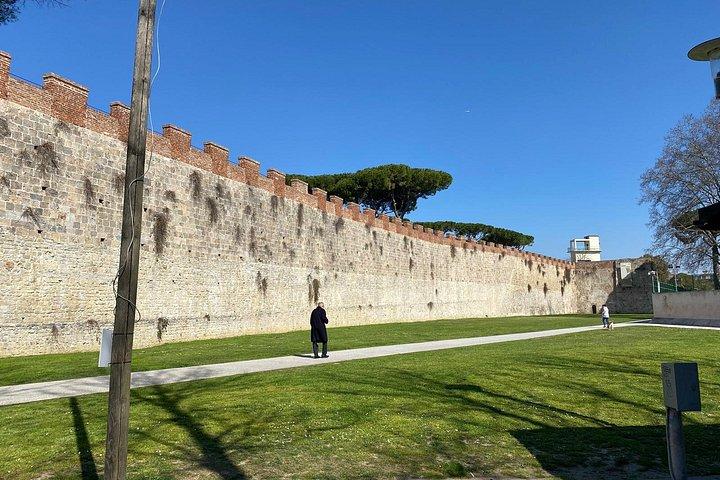 Private Lucca-Pisa Day Trip from Florence with Cathedral Complex