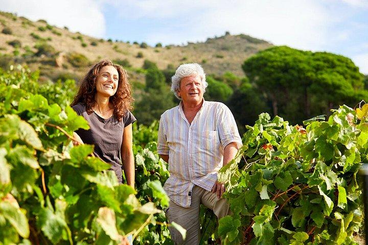 Excursion à la voile Barcelone et visite d'une cave à Tiana