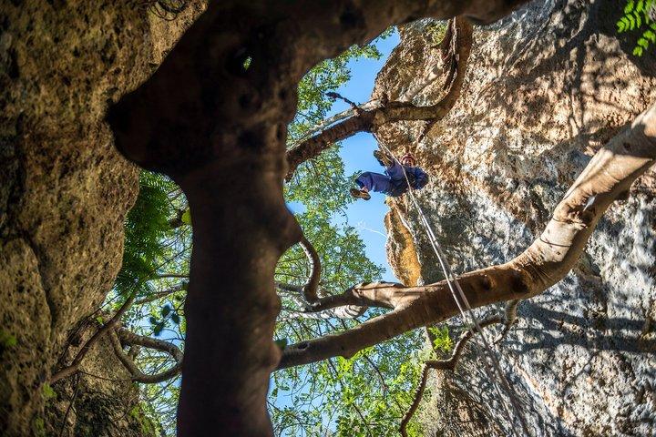 Adventure Circuit + Via Ferrata, Arrábida, Setúbal, near Lisbon
