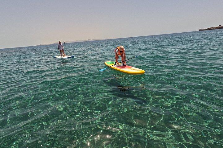 Experience stand up paddle Beach Tour Women
