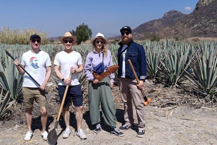 Vivi il Mezcal Tour a Oaxaca