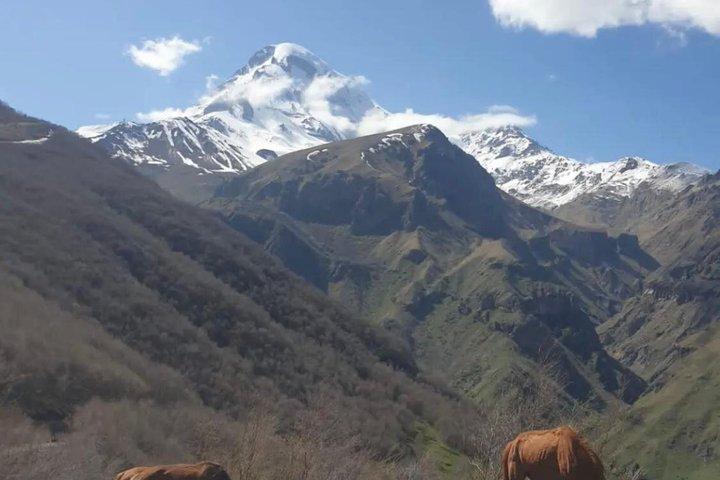 トビリシ発カズベギ日帰りツアー：アナヌリ、グダウリ、ジンバリ