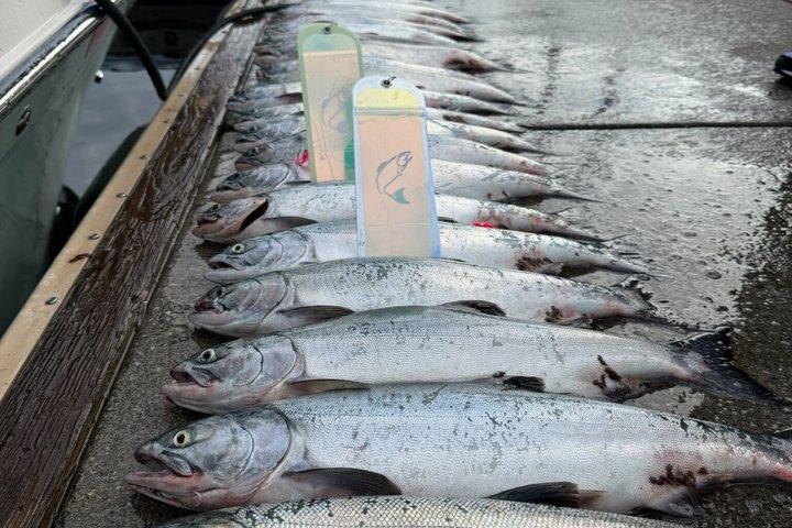 Bite After Dawn Salmon Charter
