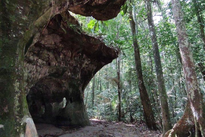 Exploring the Caves and the Waterfalls in the Amazon - Full Day