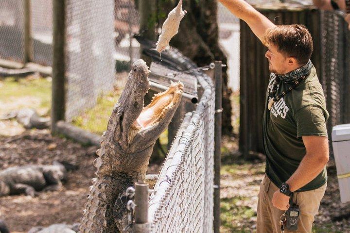 Everglades vanuit Miami : Airboat, Alligators & Farm – Kleine groep