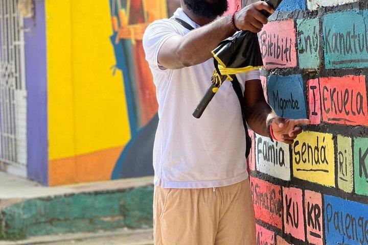 Tour a san Basilio de Palenque desde cartagena