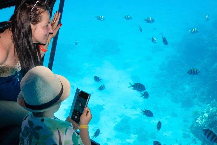 Sharm El Sheikh Sea Scope Submarine Boat Tour & Visita ao Coral Reef