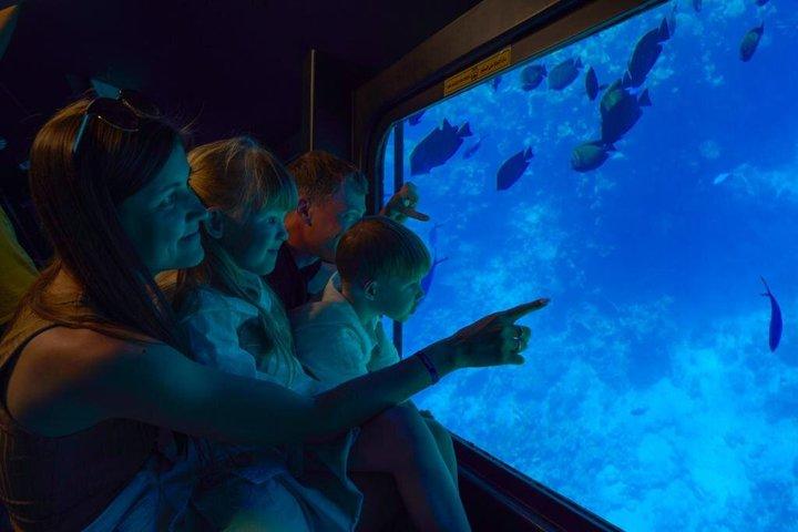 Sharm El Sheikh Sea Scope Submarine Boat Tour & Visita ao Coral Reef