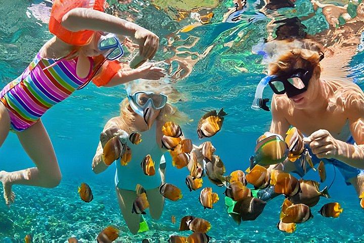 Nusa Penida 3 - Schnorchelabenteuer mit Mantarochen