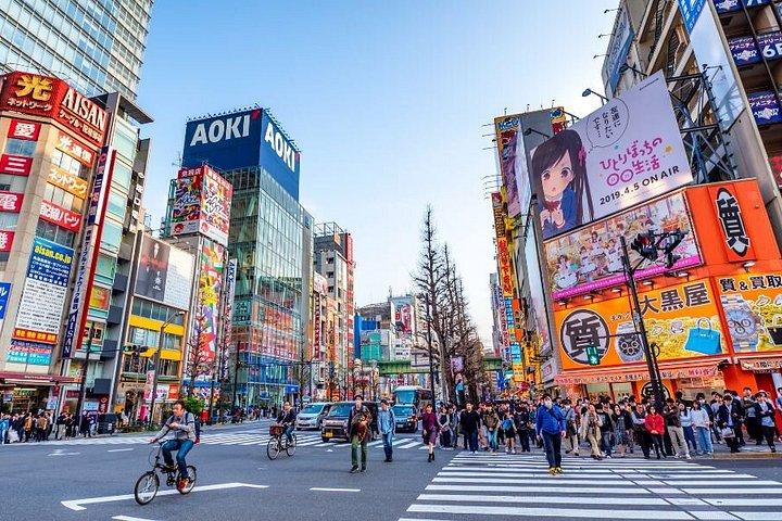 プライベート東京アニメツアー：秋葉原、中野ブロードウェイ＆お台場