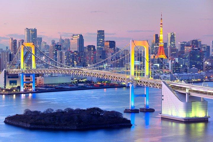 プライベート東京アニメツアー：秋葉原、中野ブロードウェイ＆お台場