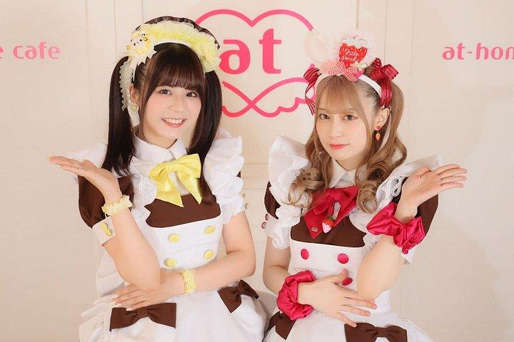 プライベート東京アニメツアー：秋葉原、中野ブロードウェイ＆お台場