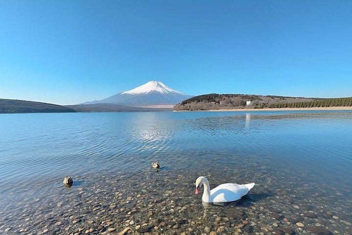 芦ノ湖大涌谷と神社を巡ろう富士山箱根ツアー