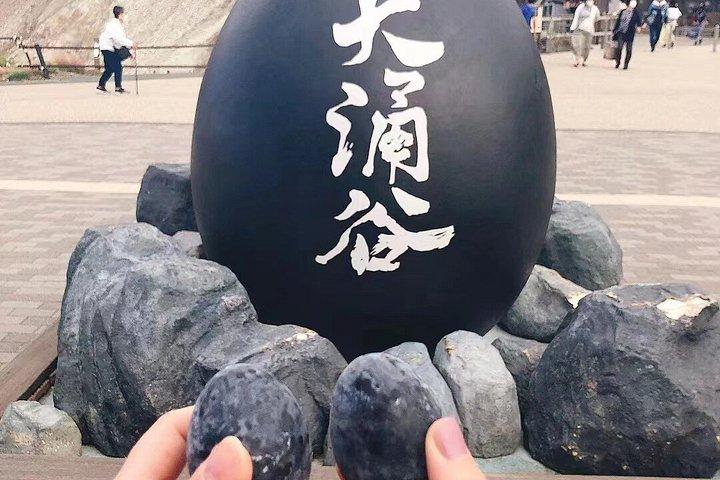 芦ノ湖大涌谷と神社を巡ろう富士山箱根ツアー