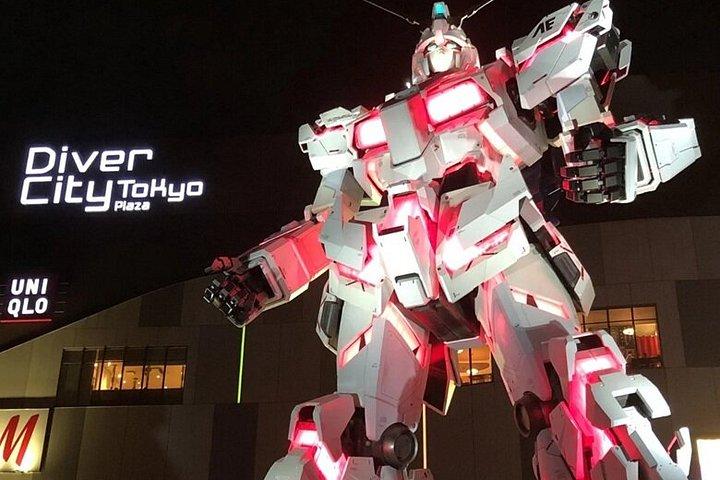プライベート東京アニメツアー：秋葉原、中野ブロードウェイ＆お台場