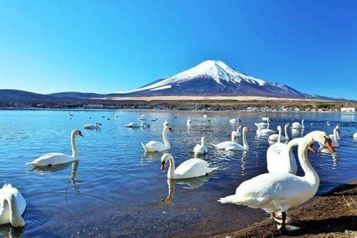 プライベート富士ツアー：山中湖、御殿場アウトレット＆温泉