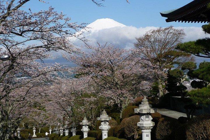 プライベート富士ツアー：山中湖、御殿場アウトレット＆温泉